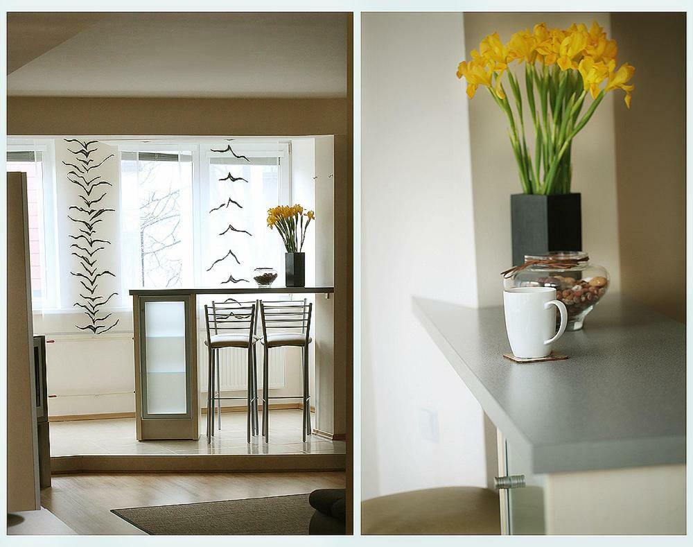 Apartment In The Center Of Klaipeda Butas Klaipedos Miesto Centre 外观 照片